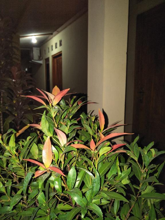 Homestay 77 Borobudur Magelang Luaran gambar